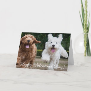 Schattige Cockapoo-Puppies Valentijnsdag Kaart