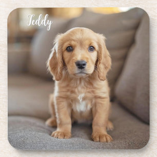 Schattige Cocker Spaniel Gepersonaliseerde Onderze Bier Onderzetter