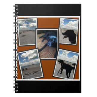 schattige collage van foto's van strand en hond notitieboek