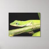 Schattige Cool Schattig Leuk Groen Anole Lizard An Canvas Afdruk (Voorkant)