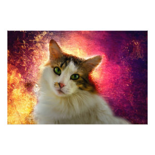 Schattige Cute Calico Cat Foto Afdruk