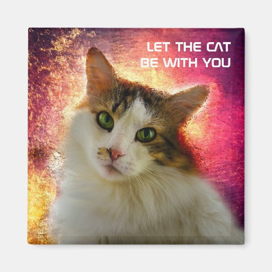 Schattige Cute Calico Cat Magneet (Voorkant)