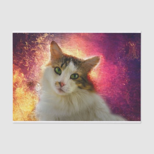 Schattige Cute Calico Cat Tissuepapier (Voorkant)