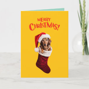 Schattige Dachshond Hond Kerstmis Feestdagen Kaart