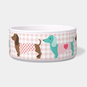 Schattige Dachshond Hond Voerbakje