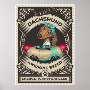 Schattige Dachshund in Worstvormige Auto Poster