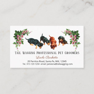 Schattige Dachshund Puppies Huisdier Verzorging Bl Visitekaartje