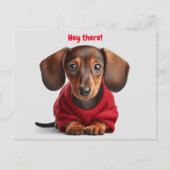 Schattige Dachshund Puppy  Briefkaart (Voorkant)