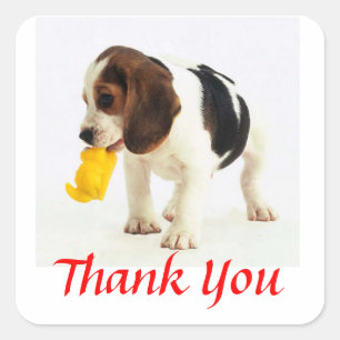 Schattige dank u Beagle Puppy Dog Groet Stickers
