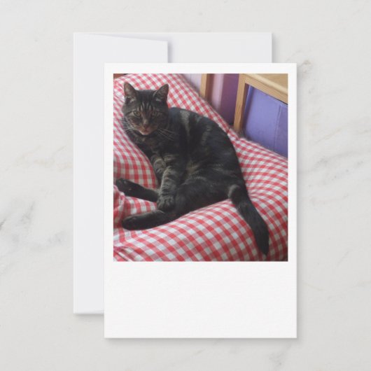 Schattige Dave Flat Save The Date (Voorkant)