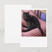 Schattige Dave Flat Save The Date (Voorkant / Achterkant)