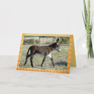 Schattige de gelukwensenkaart van babyburro kaart