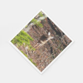 Schattige Deer in de Natuur van de Bossen Fotograf Servet (Hoek)