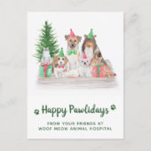 Schattige dierenartsen met feestdagen (Voorkant)