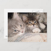 Schattige dierlijke briefkaarten (Voorkant / Achterkant)