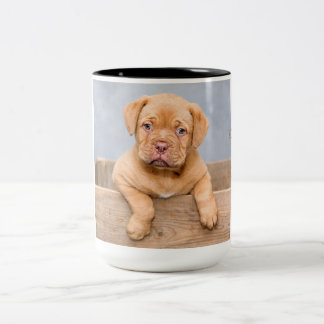 Schattige Dogue de Bordeaux Tweekleurige Koffiemok