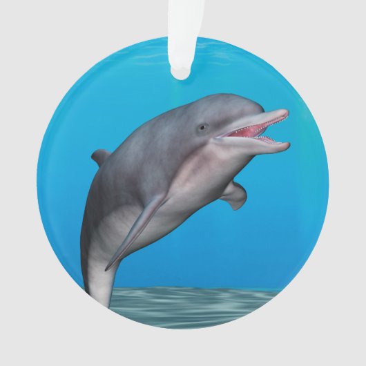 Schattige dolfijn ornament (voorkant)