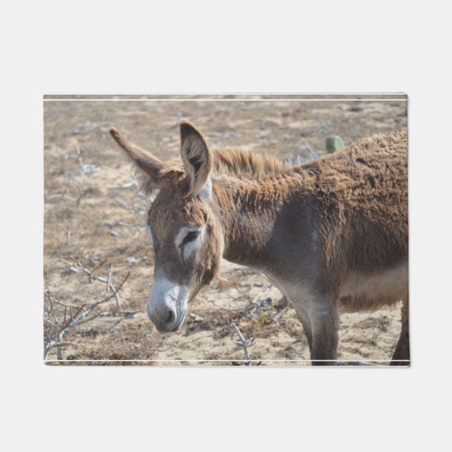 Schattige Donkey Deurmat (Voorkant)