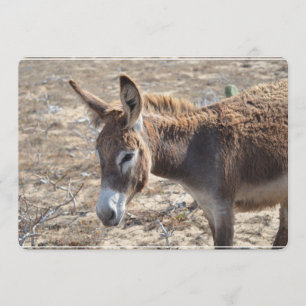 Schattige Donkey Kaart