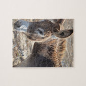 Schattige Donkey Legpuzzel (Horizontaal)