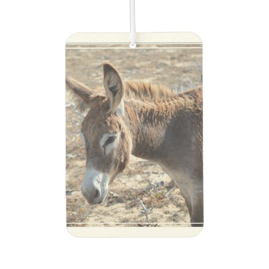 Schattige Donkey Luchtverfrisser (Voorkant)