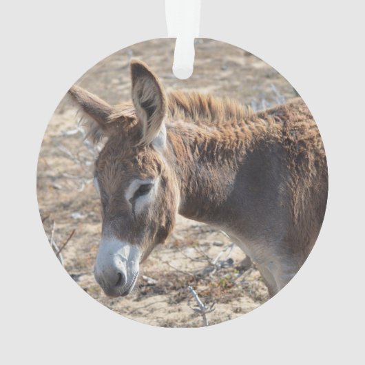 Schattige Donkey Ornament (achterkant)