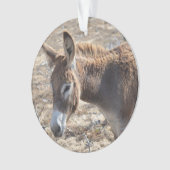 Schattige Donkey Ornament (voorkant)