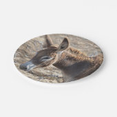 Schattige Donkey Papieren Bordje (Gekanteld)