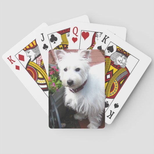 Schattige draadspeelkaarten speelkaarten (Achterkant)