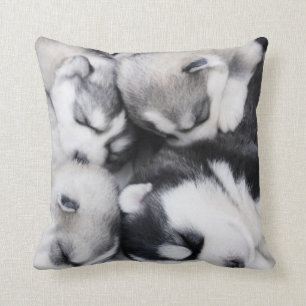 schattige , dunne , husky - jongen kussen