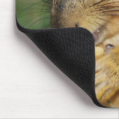 Schattige eekhoorn eten pinda foto Muismat (Hoek)