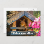Schattige Eekhoorn Nieuw Thuis Adres Net Verplaats Aankondigingskaart (Voorkant / Achterkant)