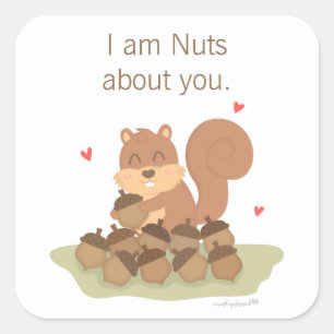 Schattige Eekhoorn Noten Over Jou Grappige Liefde Vierkante Sticker