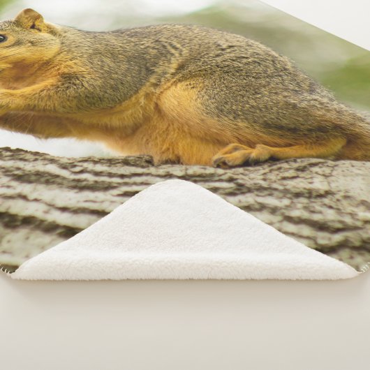 Schattige eekhoorn sherpa deken (3/4)