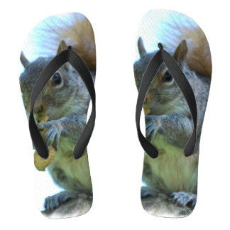 Schattige eekhoorn teenslippers
