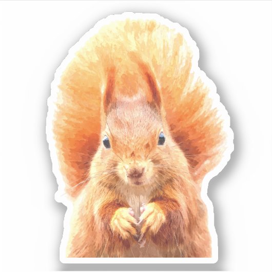 Schattige Eekhoornportret Sticker (Voorkant)