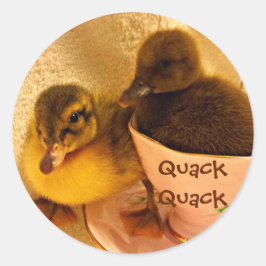 Schattige eenden zeggen kwakzalver ronde sticker
