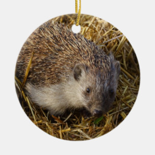 Schattige egel in een stubelveld keramisch ornament
