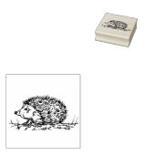 Schattige egel 	rubberstempel (Gestempeld)