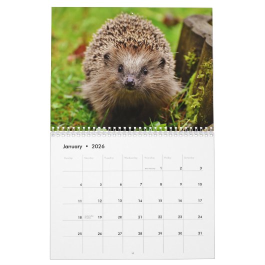 Schattige egels 2026 kalender (Jan 2026)