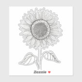 Schattige Elegante Boho Zwarte en Witte Potlood Zo Sticker (Vel)