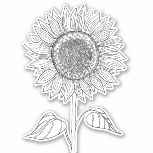 Schattige Elegante Boho Zwarte en Witte Potlood Zo Sticker (Voorkant)