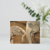 SCHATTIGE ELEPHANTS BRIEFKAART (Staand voorkant)