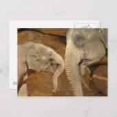 SCHATTIGE ELEPHANTS BRIEFKAART (Voorkant / Achterkant)