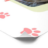 Schattige en grappig kat collage ontwerp perfect poster (Hoek)