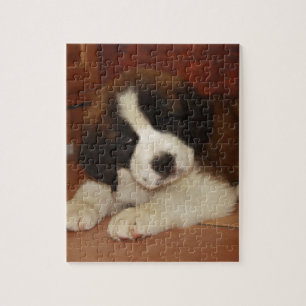 Schattige en zoete Bernard Puppy Legpuzzel