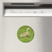 Schattige fluffy Gosling (kanadanese gans) Magneet (Insitu (Vaatwasser))