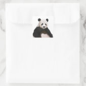 Schattige Fluffy Panda Beer Vierkante Sticker (Tas)