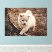 Schattige fluffy Snowball Puppy Dog Canvas Kunst (Insitu (Houten vloer))