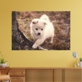 Schattige fluffy Snowball Puppy Dog Canvas Kunst (Insitu (Woonkamer))